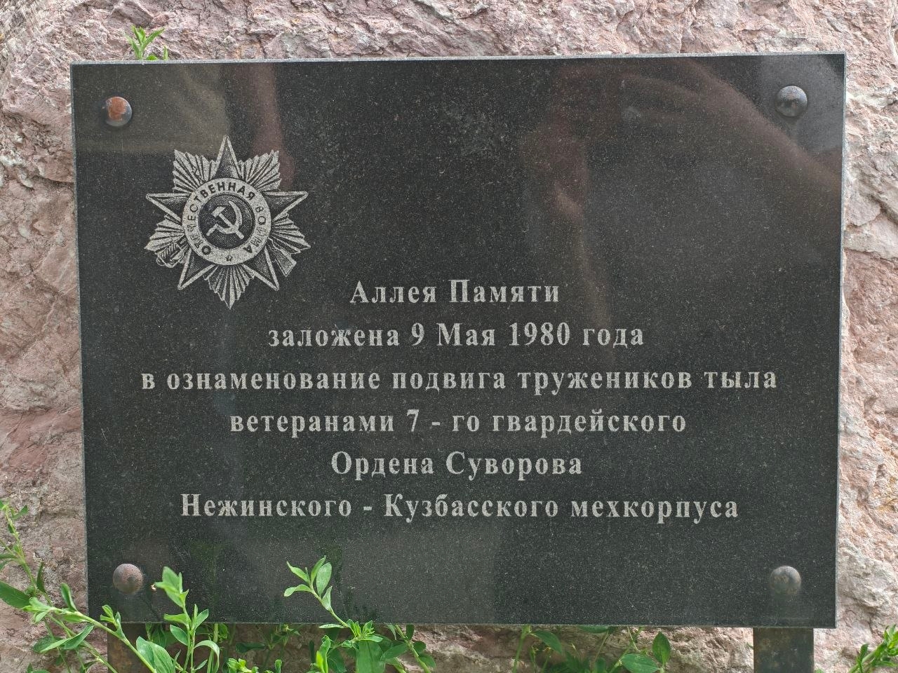 Студенты КемГИК: Матвеева А. А., Мельникова С. Ю. Дата съемки: 06.07.2026.